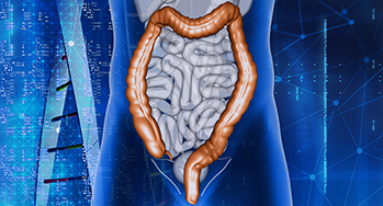 3D Render Of A Male Medical Figure With Colon Highlighted